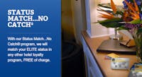 STATUS MATCH - NO CATCH!